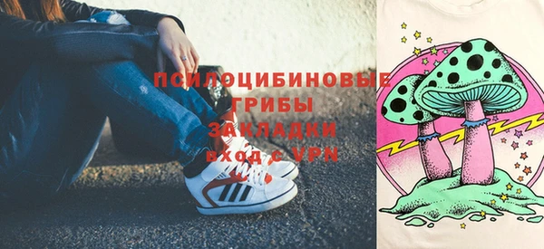 тгк Верея