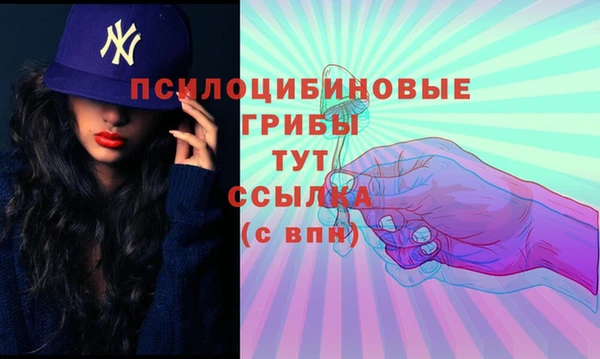 ALPHA PVP Верхнеуральск
